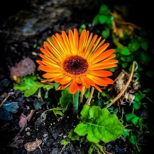 Meet your Posher, Sujey